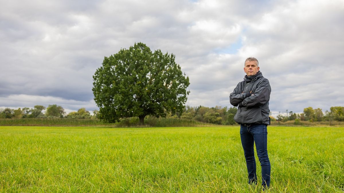 Odpůrci pískovny vymysleli nevídaný trik. „Objevili“ vzácný strom